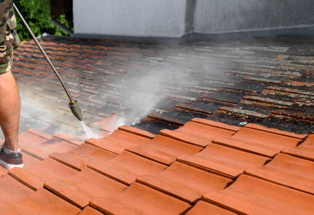 Best Deck Cleaning Services  in Winfield, AL