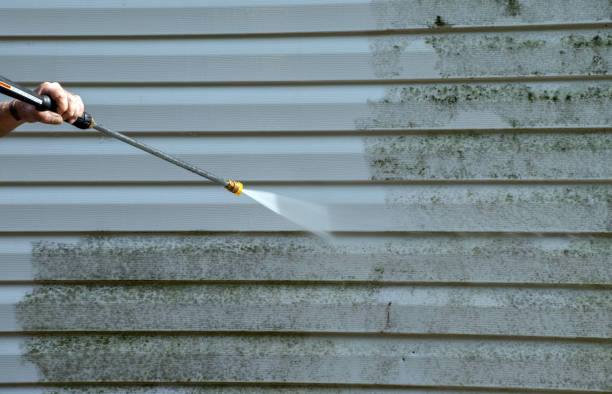 Best Concrete Pressure Washing  in Winfield, AL